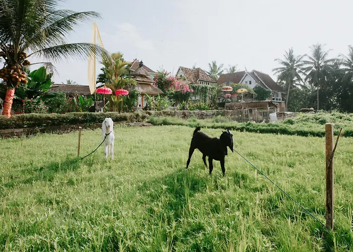 The Rice Joglo Eco-Stay